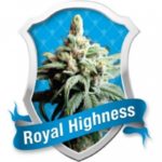 royal-highness-fem