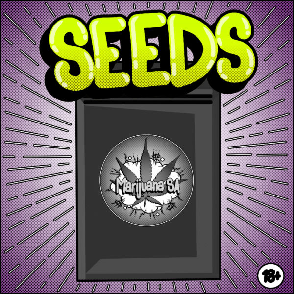 Marijuana Seeds