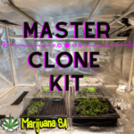 Master Clone Kit