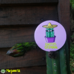 Sticker Cactus Criminal