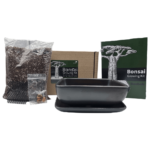boabab bonsai kit (1)