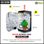 Beginners Guide to Growing Cannabis