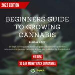 Beginners Guide to Growing Cannabis (2)